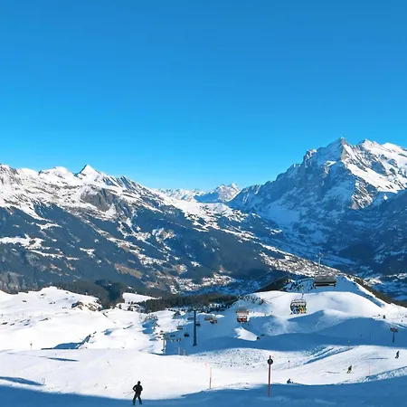 Holiday home Tannengueetli By Interhome Grindelwald