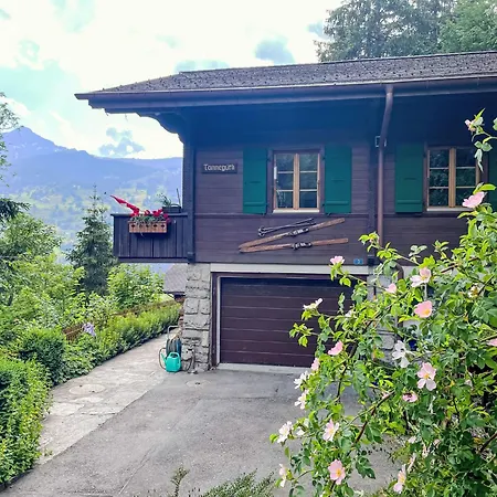Tannengueetli By Interhome Holiday home