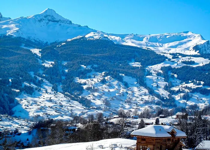 Tannengueetli By Interhome * 格林德瓦