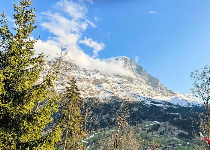 度假居 Tannengueetli By Interhome *