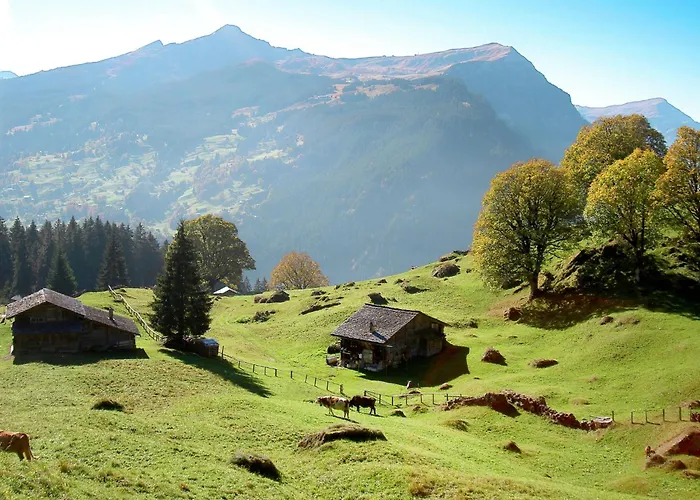 Holiday home Tannengueetli By Interhome Grindelwald