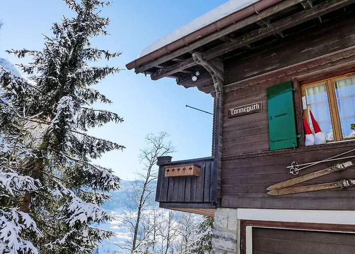 Tannengueetli By Interhome * Grindelwald